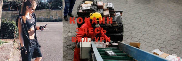 соль курить ск Белокуриха